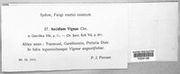 Image Associated With the Occurence